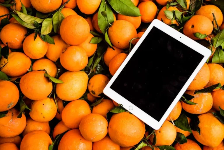Orange Puns: Meaning, Style, History, and Visual Guide